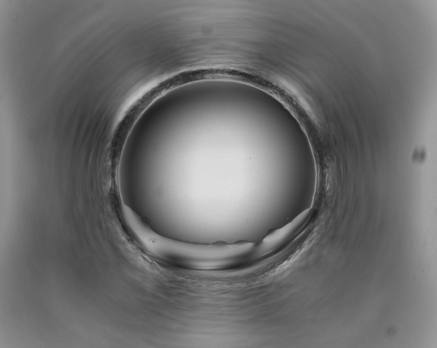 X0000090761069200707201458