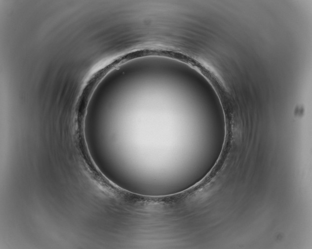 X0000090761070200707201458