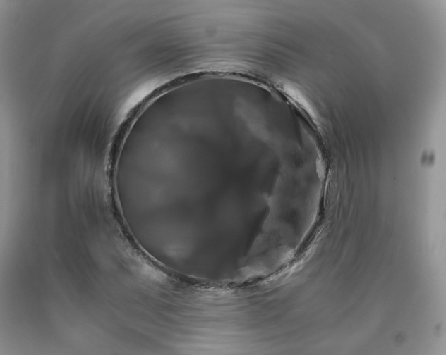 X0000090761071200707201458