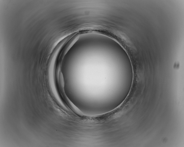 X0000090761073200707201458