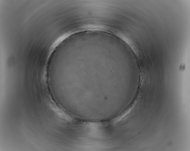 X0000090761074200707201458