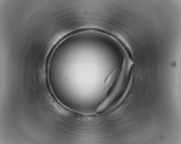 X0000090761076200707201458