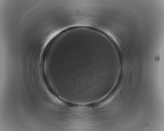 X0000090761077200707201458