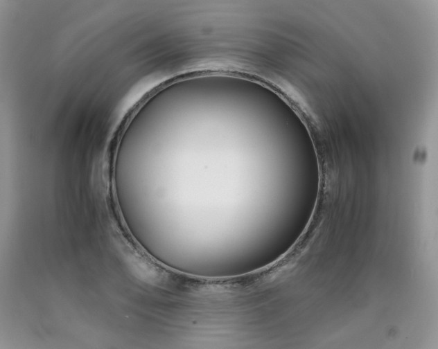 X0000090761078200707201458