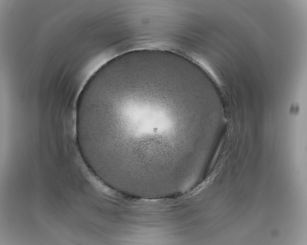 X0000090761079200707201458