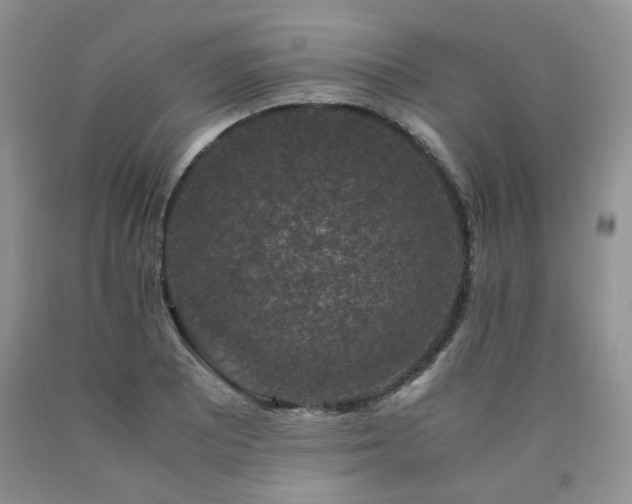 X0000090761081200707201458