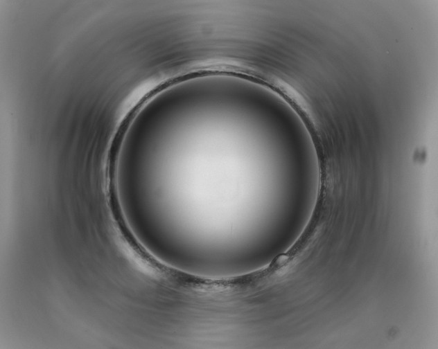 X0000090761082200707201458