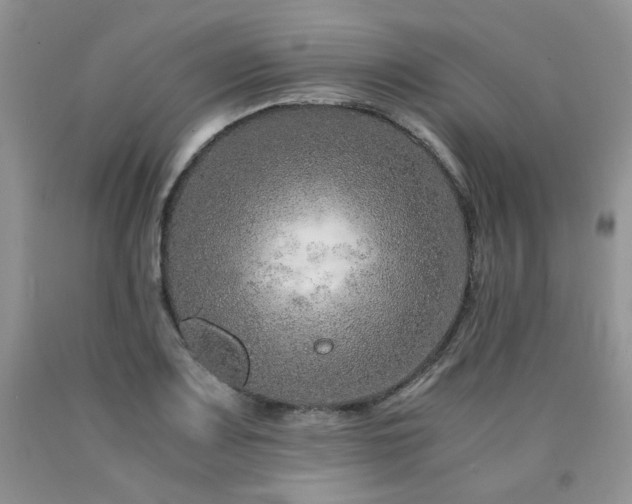 X0000090761083200707201458