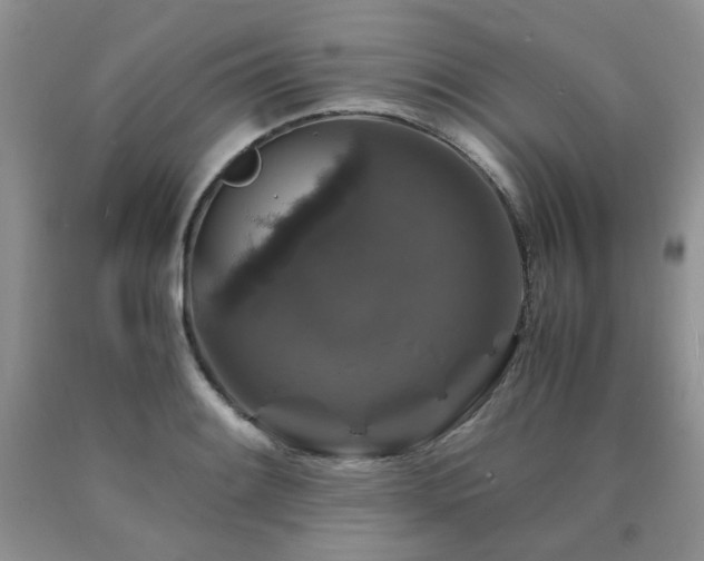 X0000090761084200707201458