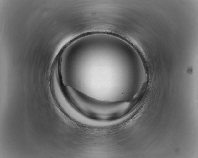 X0000090761085200707201458