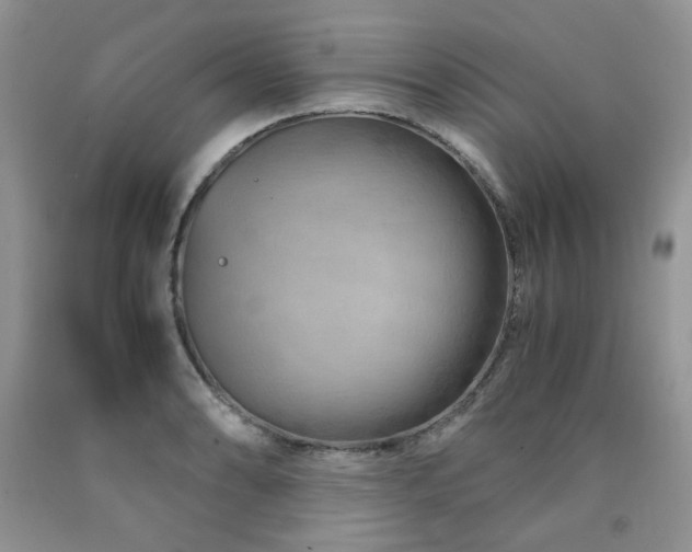 X0000090761086200707201458