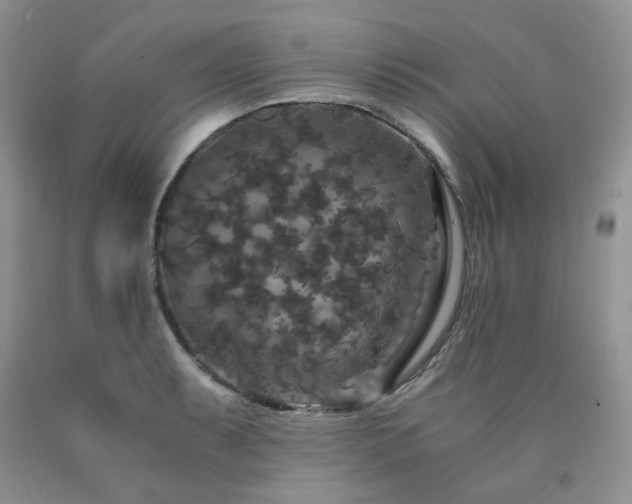 X0000090761087200707201458