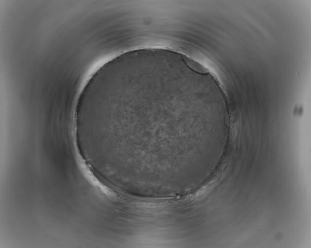 X0000090761088200707201458