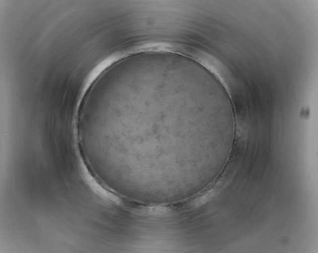 X0000090761090200707201458