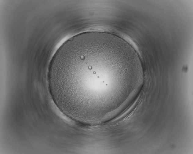 X0000090761091200707201458