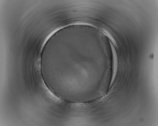 X0000090761092200707201458