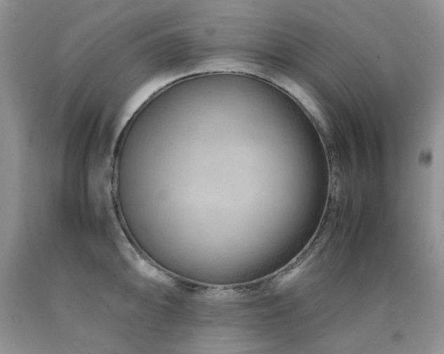 X0000090761094200707201458