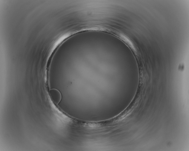 X0000090761095200707201458