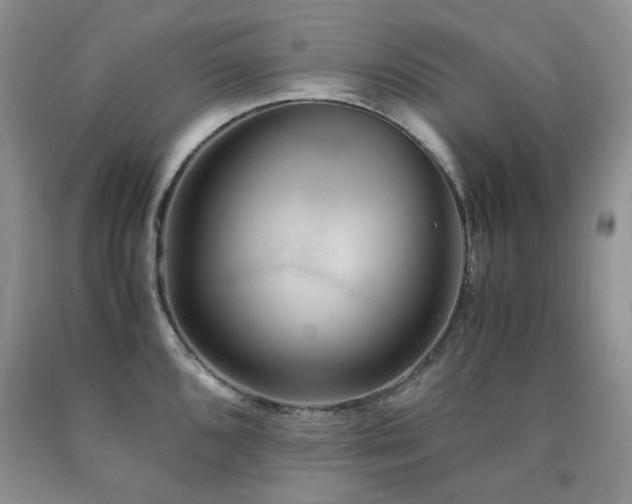 X0000090761096200707201458