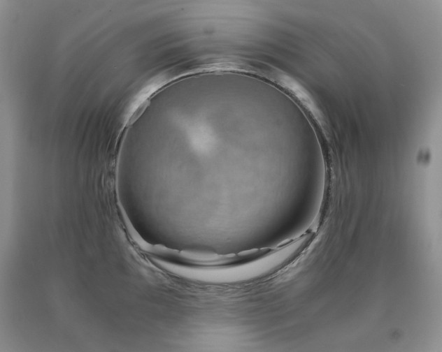 X0000090761097200707201458