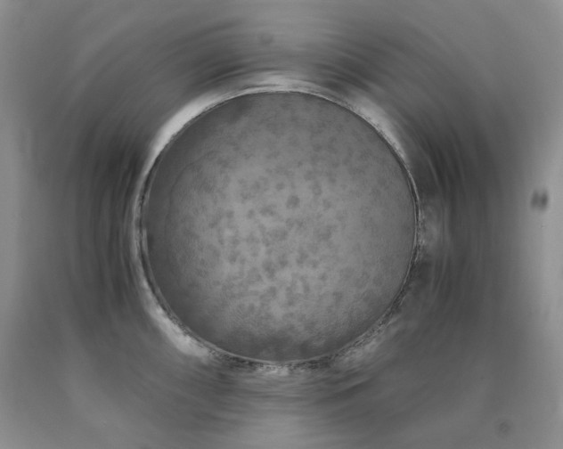 X0000090761098200707201458