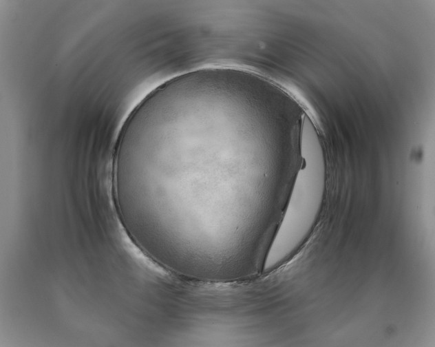 X0000090761100200707201458