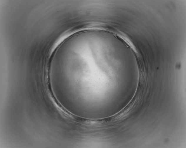 X0000090761101200707201458