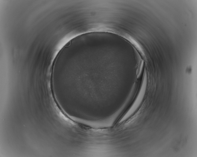 X0000090761102200707201458