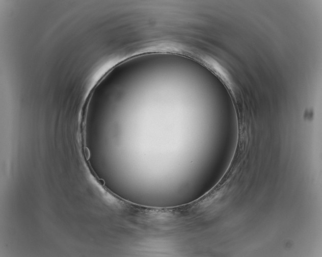 X0000090761103200707201458