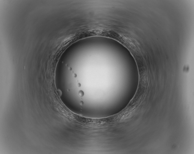 X0000090761105200707201457