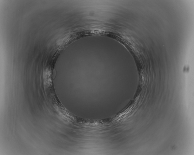 X0000090761106200707201457