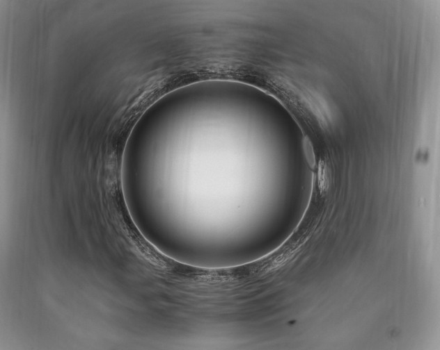 X0000090761107200707201457