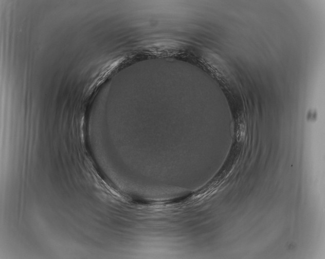 X0000090761108200707201457