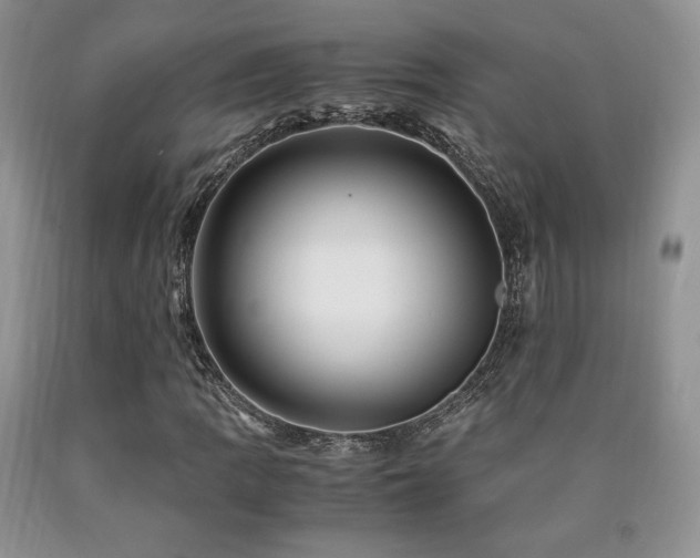 X0000090761109200707201457