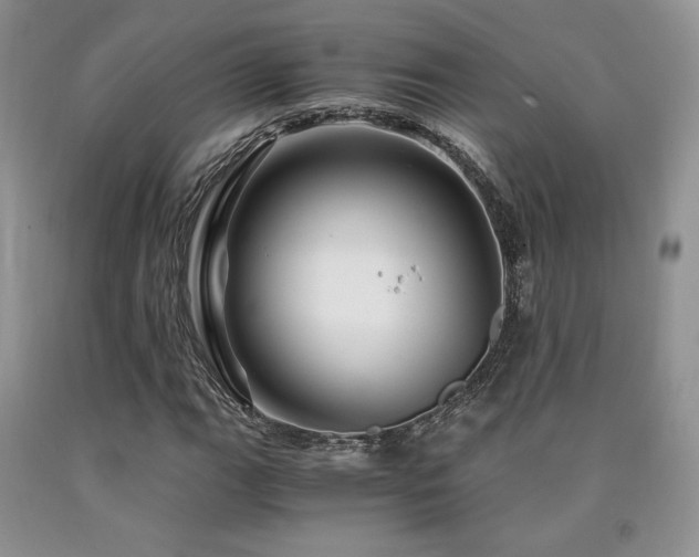 X0000090761111200707201457