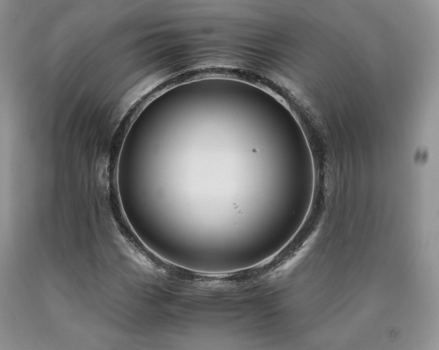 X0000090761113200707201457