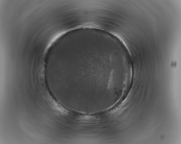 X0000090761115200707201457