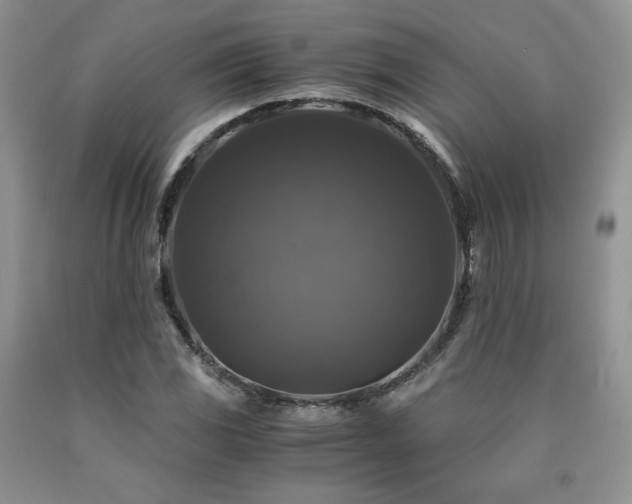 X0000090761117200707201458