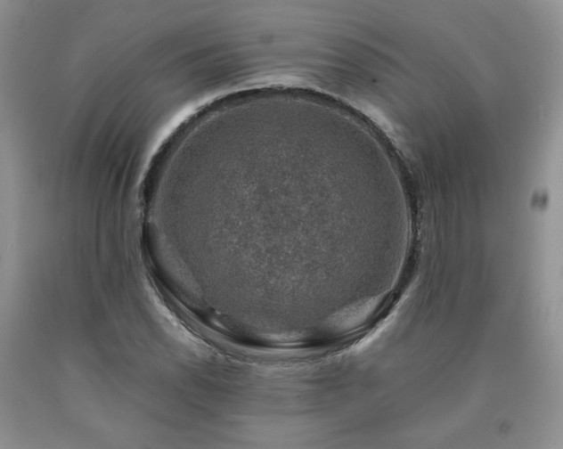 X0000090761118200707201458