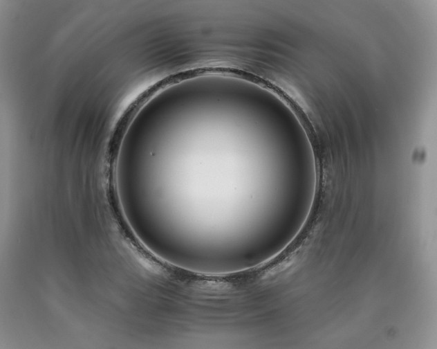 X0000090761119200707201458