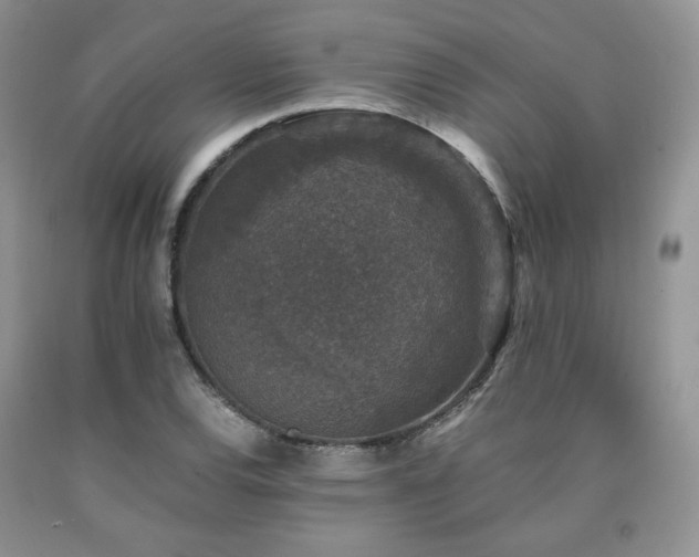 X0000090761120200707201458