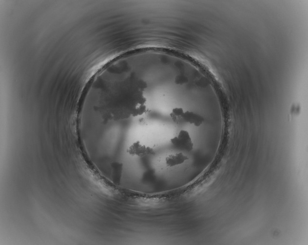 X0000090761121200707201458