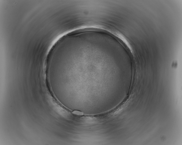 X0000090761124200707201458