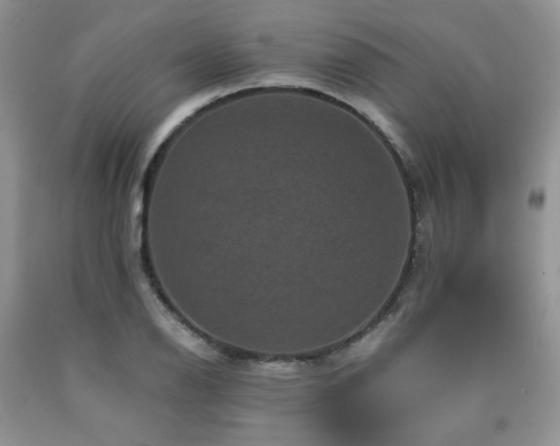 X0000090761126200707201458