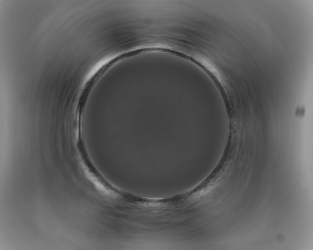 X0000090761127200707201458