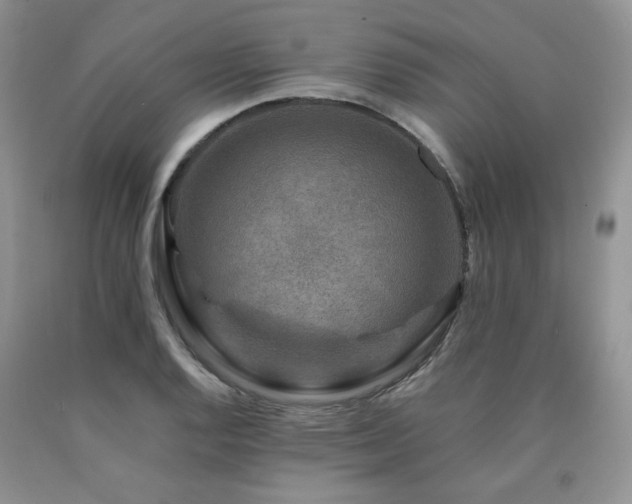 X0000090761128200707201458