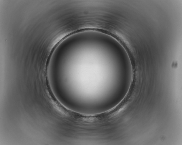 X0000090761129200707201458