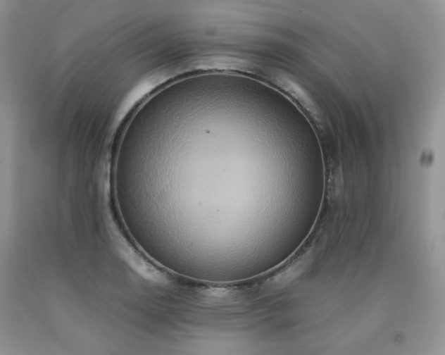 X0000090761130200707201458