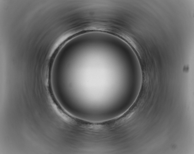 X0000090761131200707201458