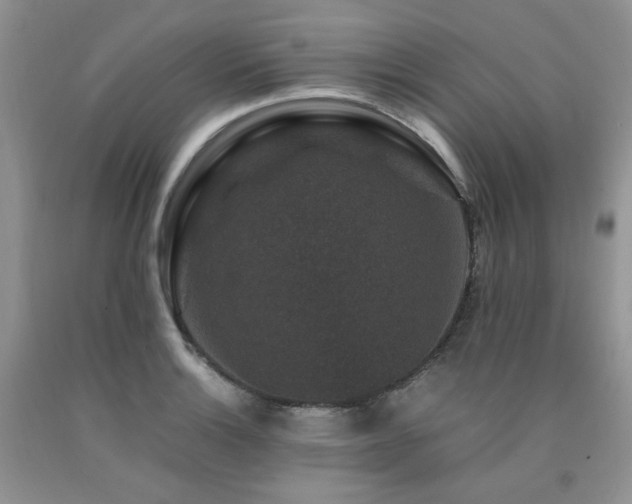 X0000090761132200707201458